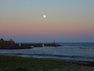 ���Ɩ���