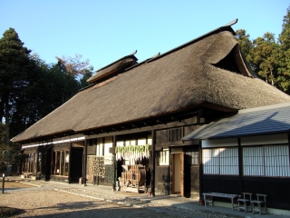 �_�ƃ��X�g����