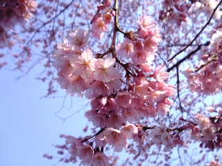 �փ�������