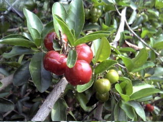 �A�Z����