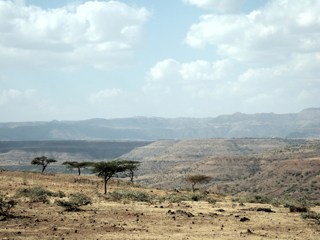 �G�`�I�s�A