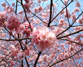 �փ�������2