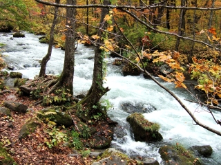 �������k��