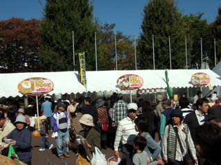 B���O����