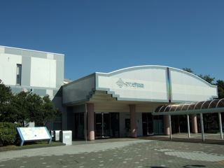 ���{�C������