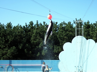 �C���J�V���[