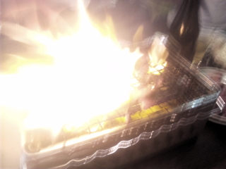 �C����H���Q